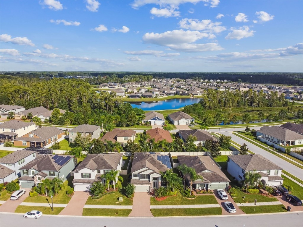 19314 Long Lake Ranch Boulevard Lutz FL 33558 TB8428290 image43