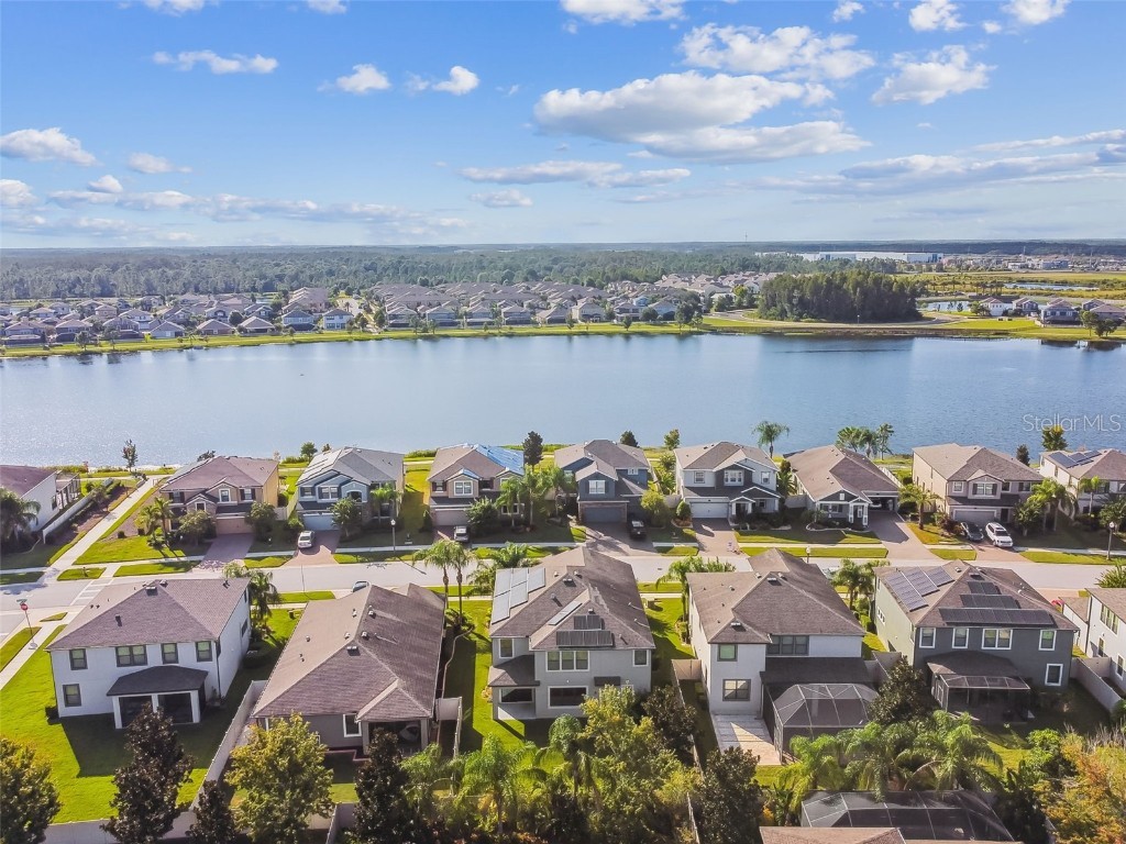 19314 Long Lake Ranch Boulevard Lutz FL 33558 TB8428290 image44