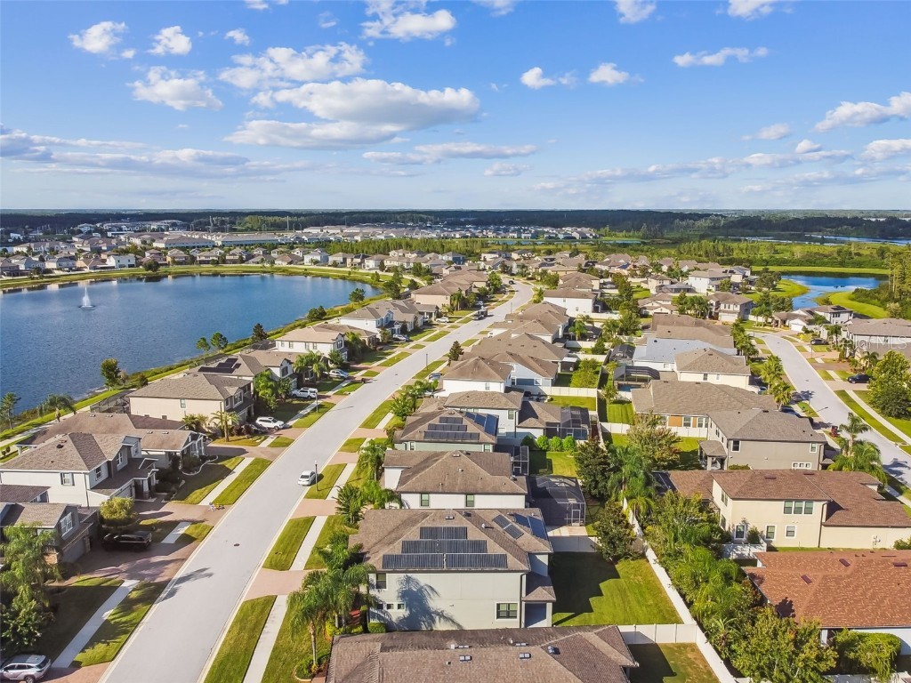 19314 Long Lake Ranch Boulevard Lutz FL 33558 TB8428290 image45