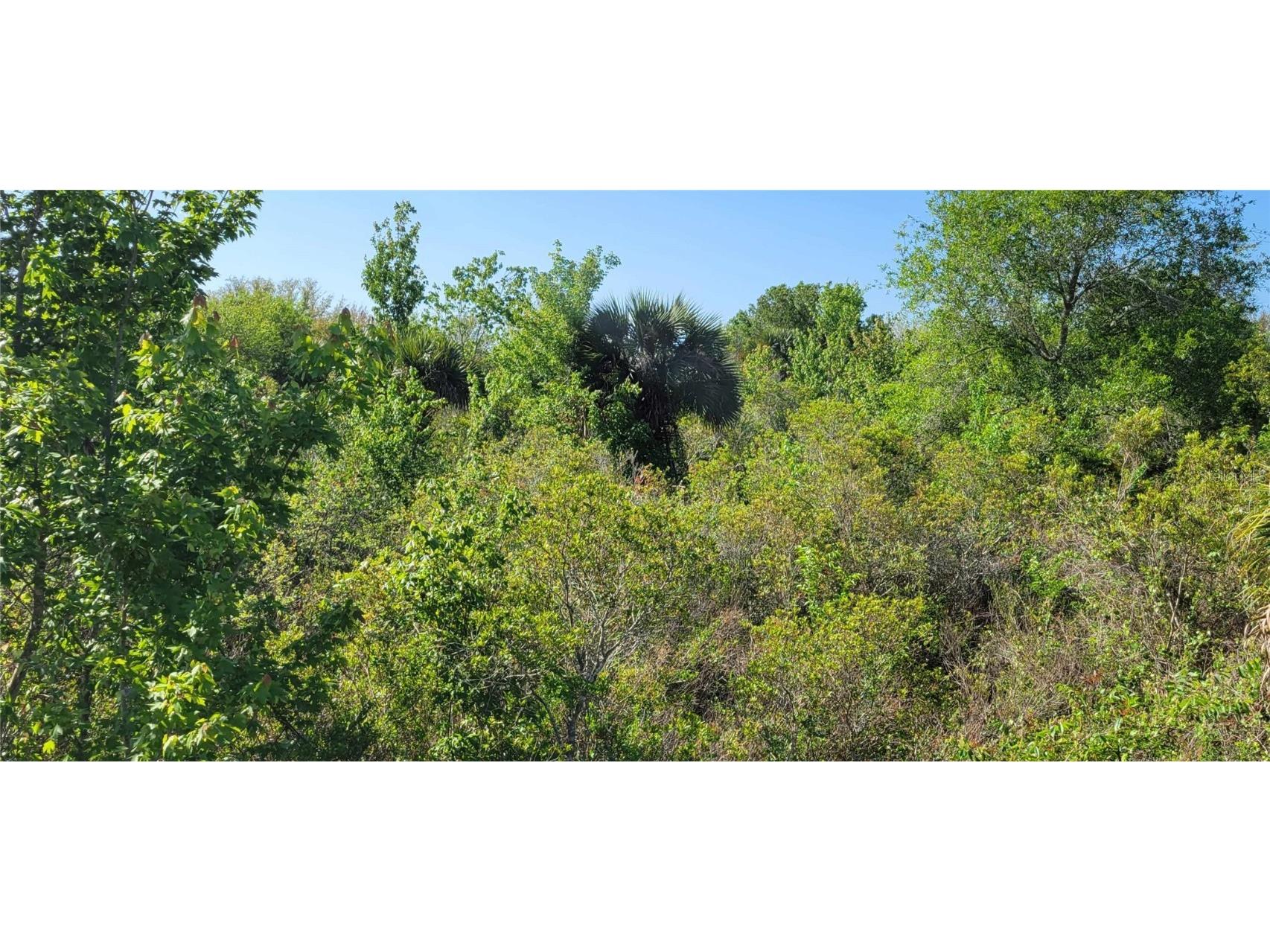 19314 NW 294th Street Okeechobee FL 34972 OK221156 image1