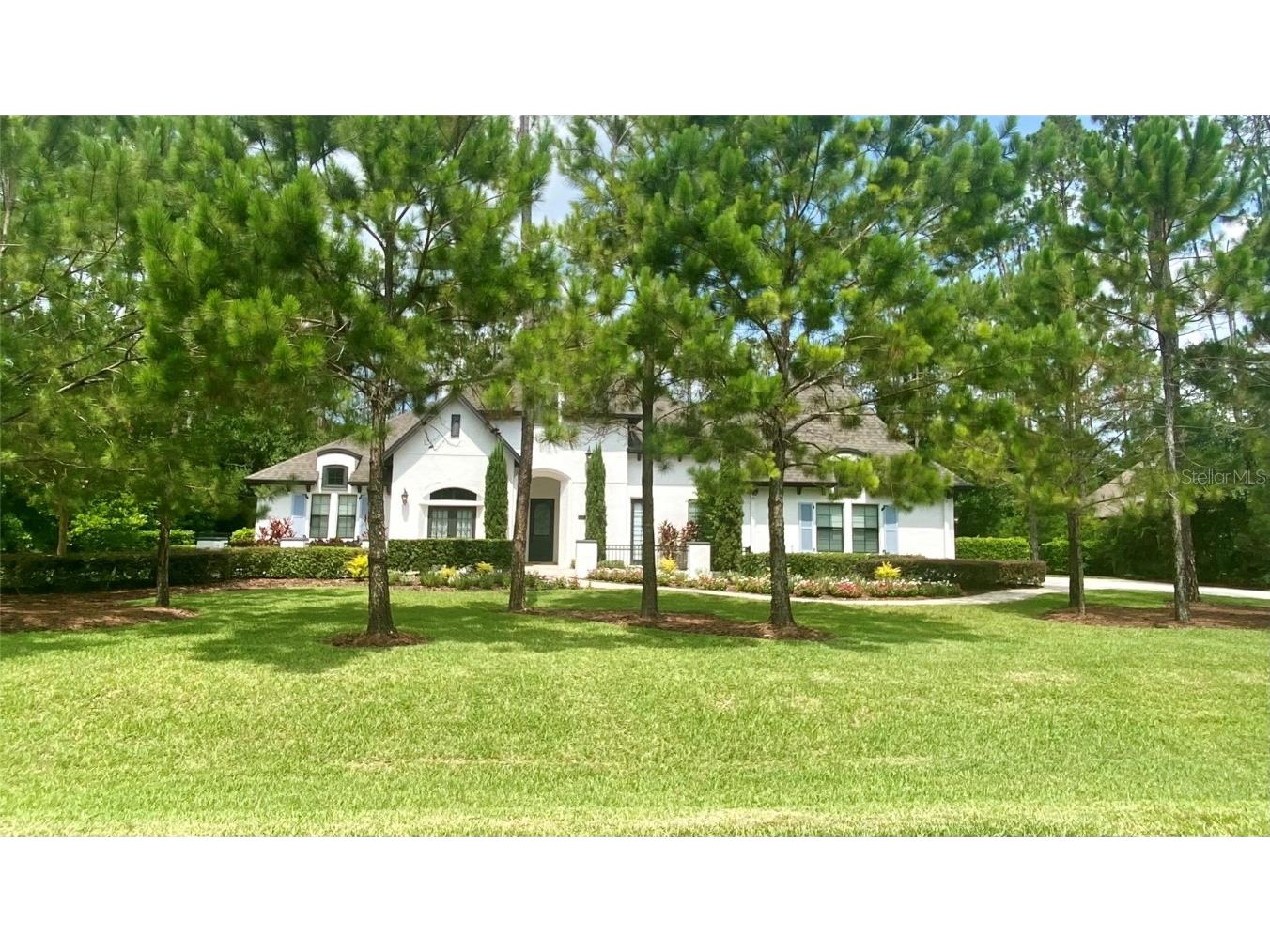 19314 Shortleaf Pine Lane Odessa FL 33556 U8179834 image1