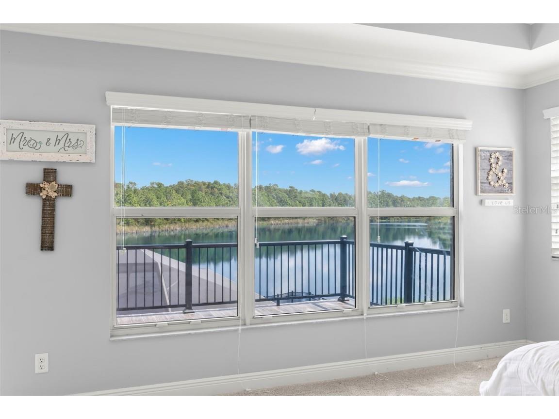 19315 Falcon Crest Boulevard Land O Lakes FL 34638 - LAKE MARIEL TB8422575 image26