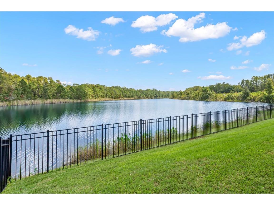 19315 Falcon Crest Boulevard Land O Lakes FL 34638 - LAKE MARIEL TB8422575 image3