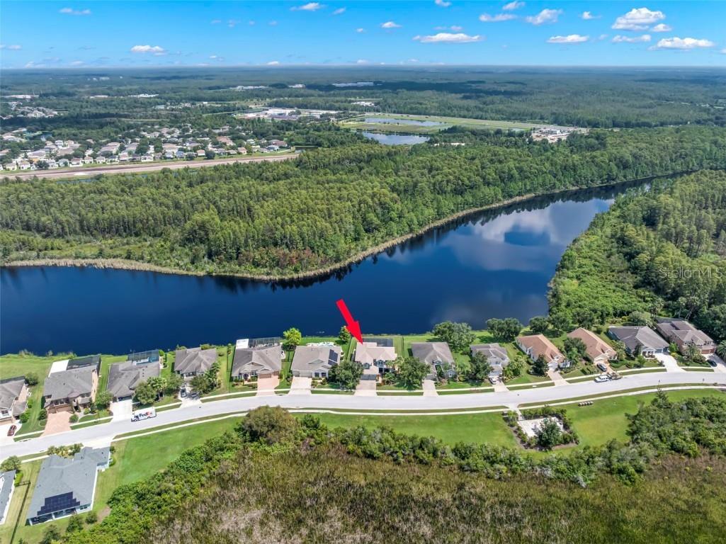 19315 Falcon Crest Boulevard Land O Lakes FL 34638 - LAKE MARIEL TB8422575 image42