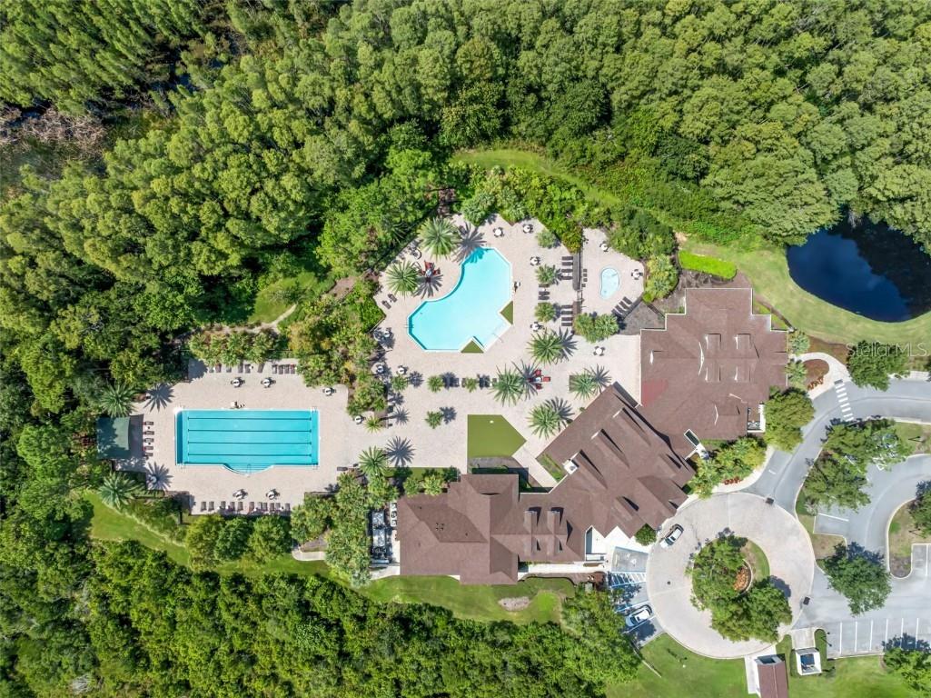 19315 Falcon Crest Boulevard Land O Lakes FL 34638 - LAKE MARIEL TB8422575 image45