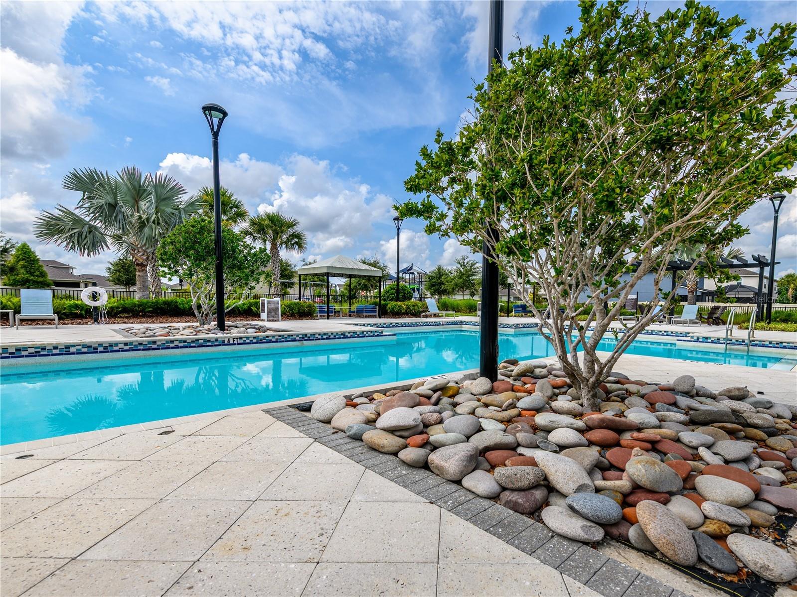 19319 Blue Pond Drive #22 Lutz FL 33558 TB8522958 image40