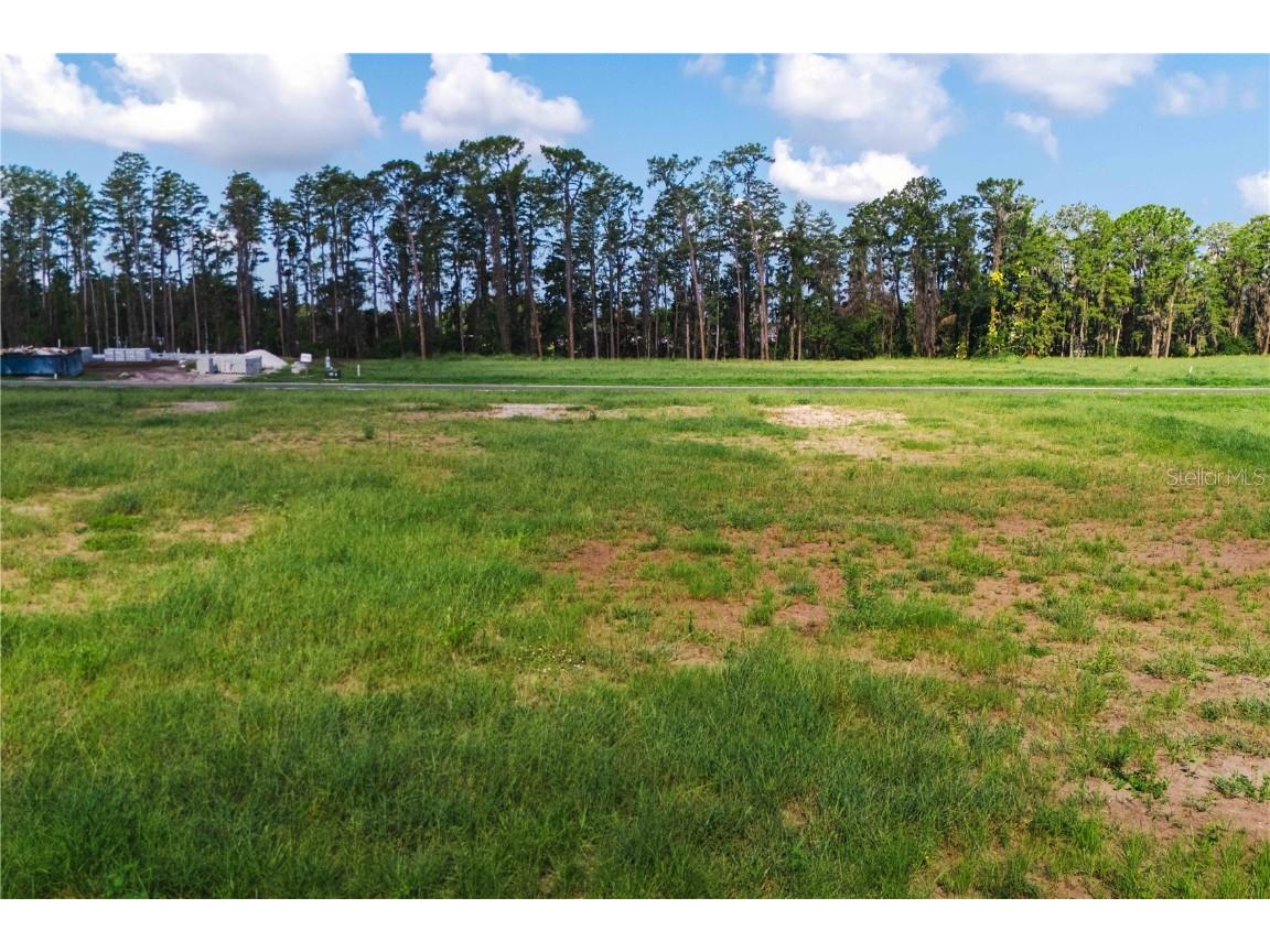 19319 Dimple Drive Odessa FL 33556 - LAKE ARTILLERY TB8412702 image1