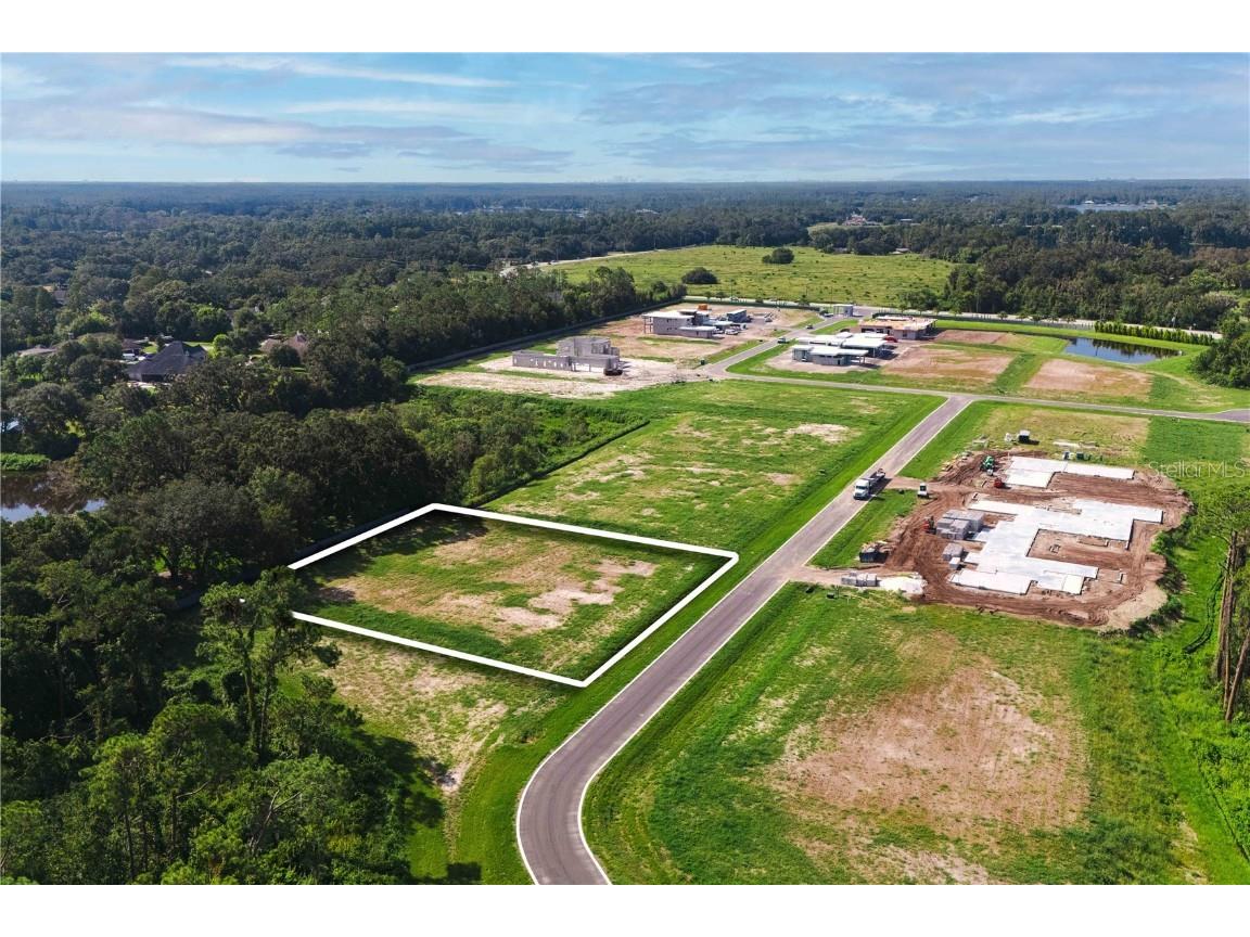 19319 Dimple Drive Odessa FL 33556 - LAKE ARTILLERY TB8412702 image10