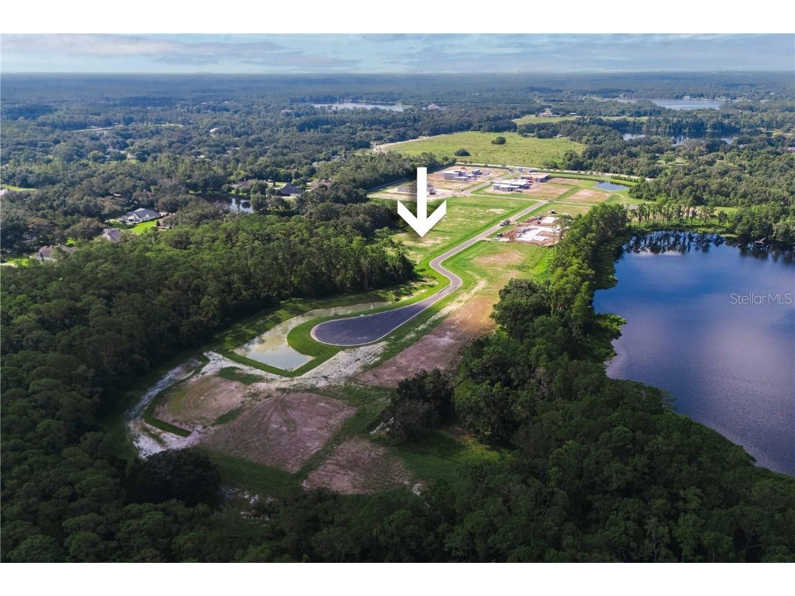 19319 Dimple Drive Odessa FL 33556 - LAKE ARTILLERY TB8412702 image11