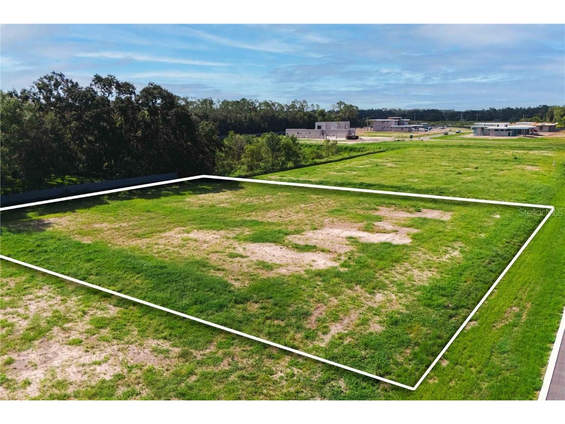 19319 Dimple Drive Odessa FL 33556 - LAKE ARTILLERY TB8412702 image2