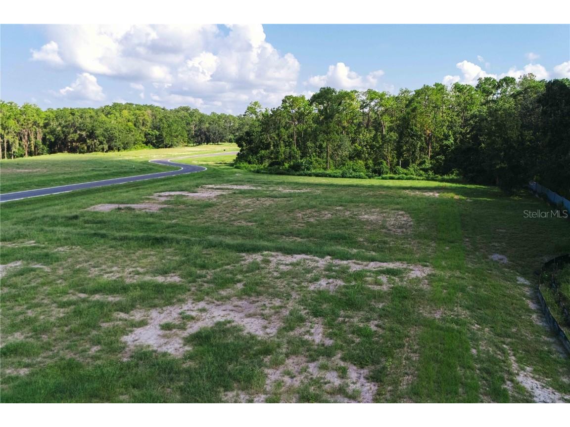 19319 Dimple Drive Odessa FL 33556 - LAKE ARTILLERY TB8412702 image3