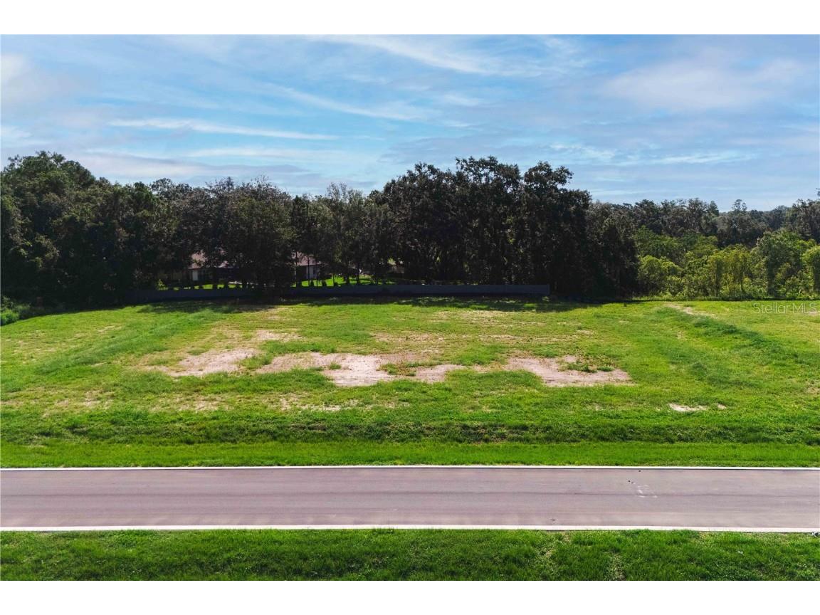 19319 Dimple Drive Odessa FL 33556 - LAKE ARTILLERY TB8412702 image4