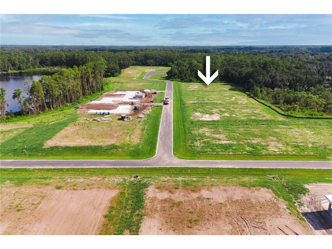 19319 Dimple Drive Odessa FL 33556 - LAKE ARTILLERY TB8412702 image5