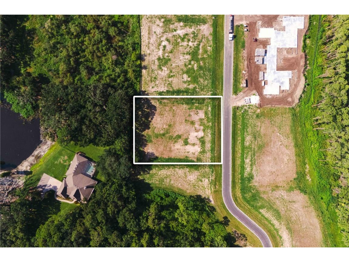 19319 Dimple Drive Odessa FL 33556 - LAKE ARTILLERY TB8412702 image9