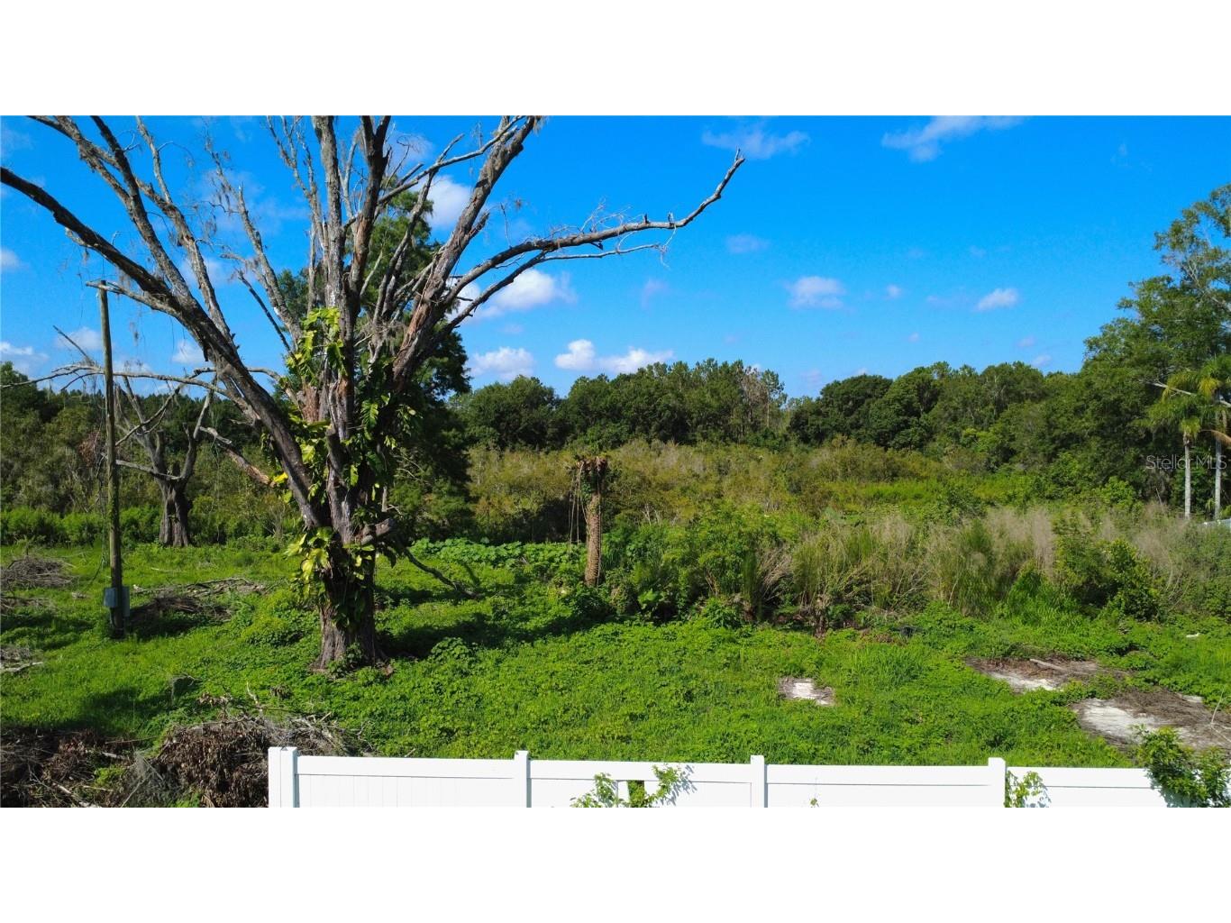 1932 Andrews Loop Lutz FL 33558 TB8398023 image1