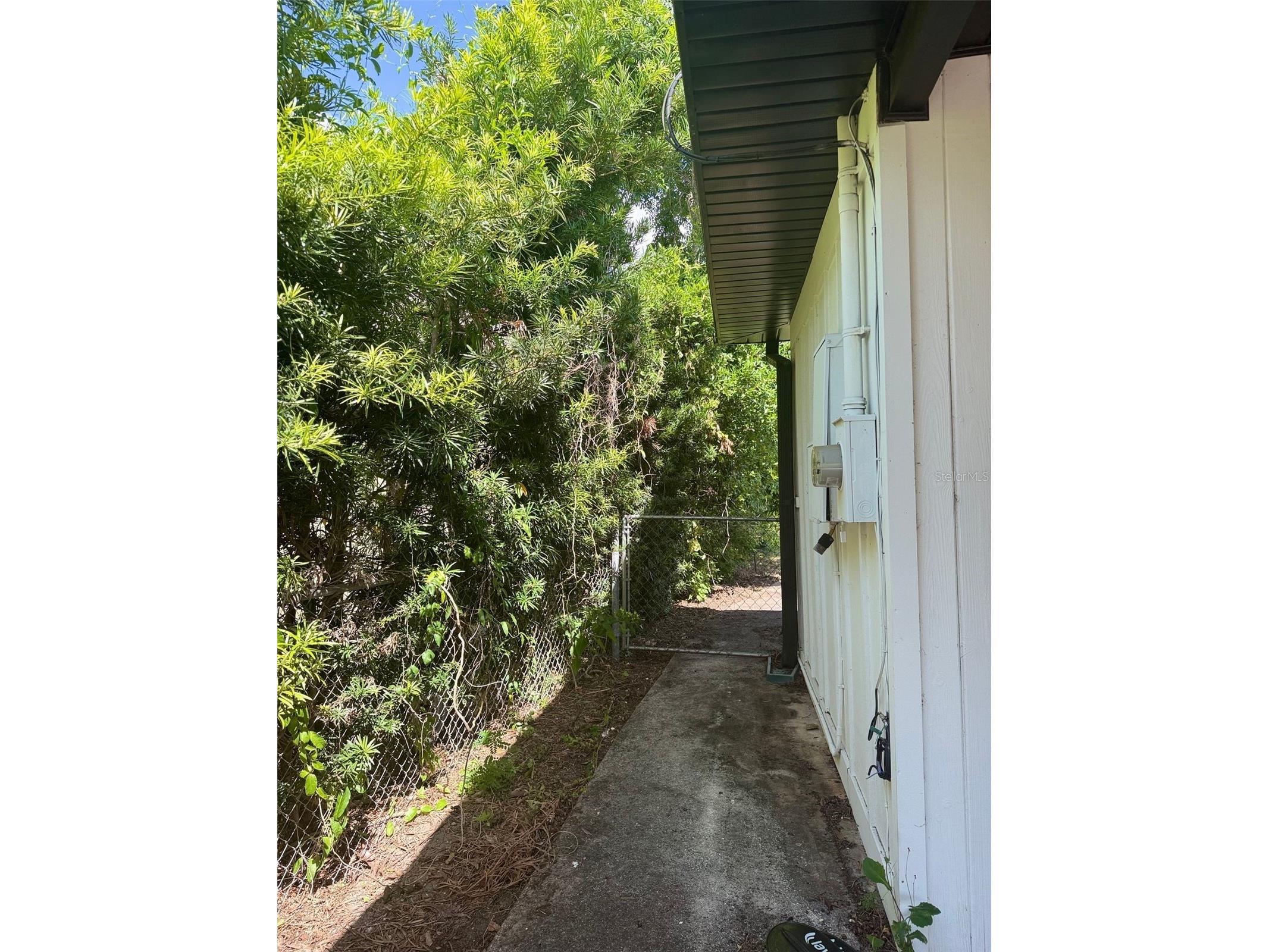 1932 Crescent Boulevard Orlando FL 32817 - LAKE ROUSE S5152856 image23