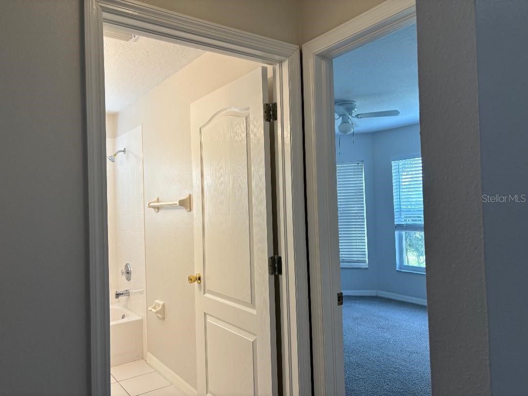 1932 Grenville Court Wesley Chapel FL 33543 TB8468060 image32