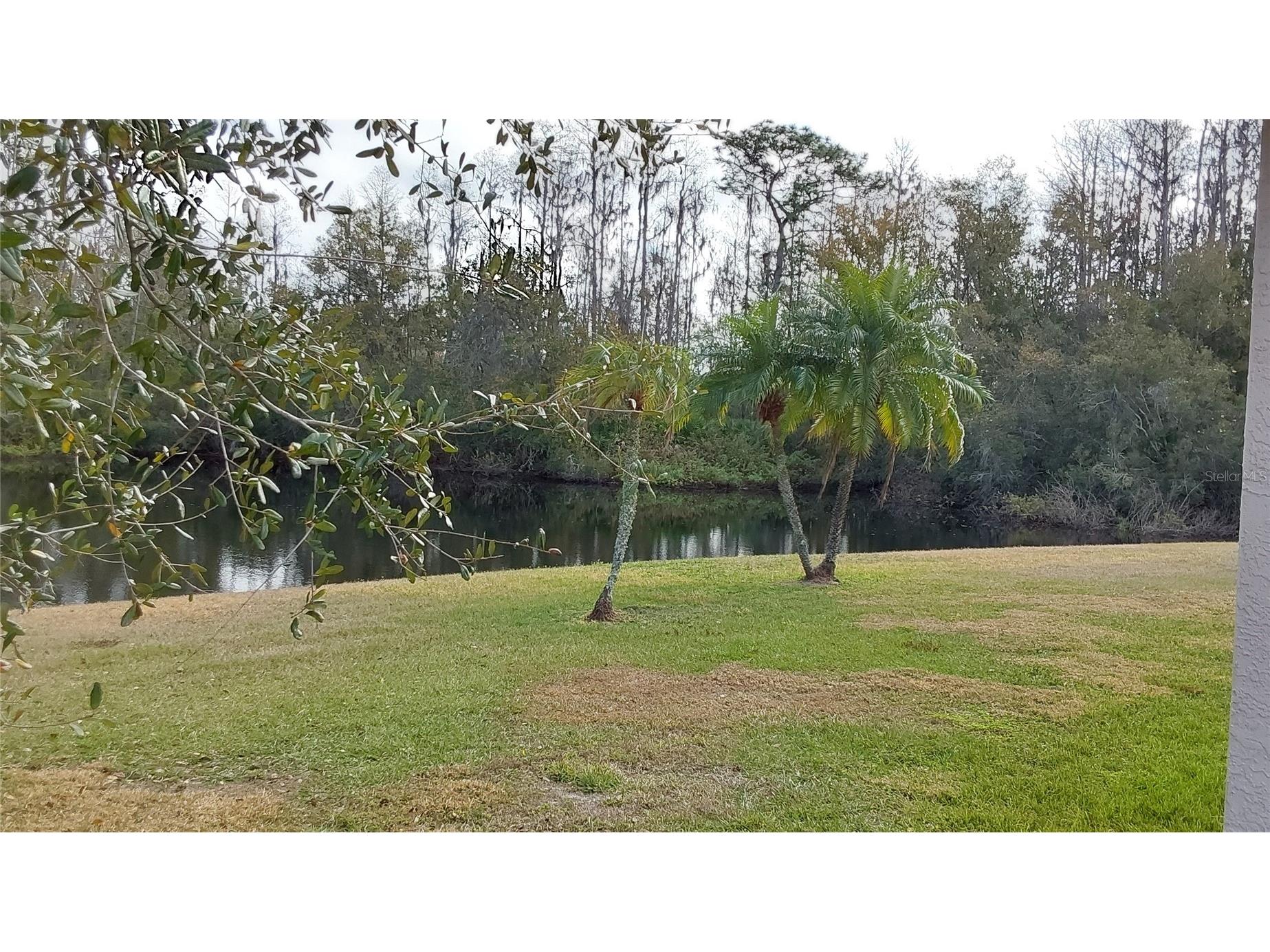 1932 Grenville Court Wesley Chapel FL 33543 TB8468060 image47