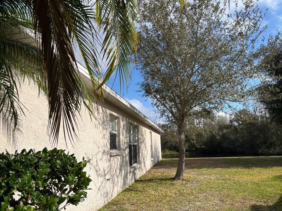 1932 Grenville Court Wesley Chapel FL 33543 TB8468139 image44