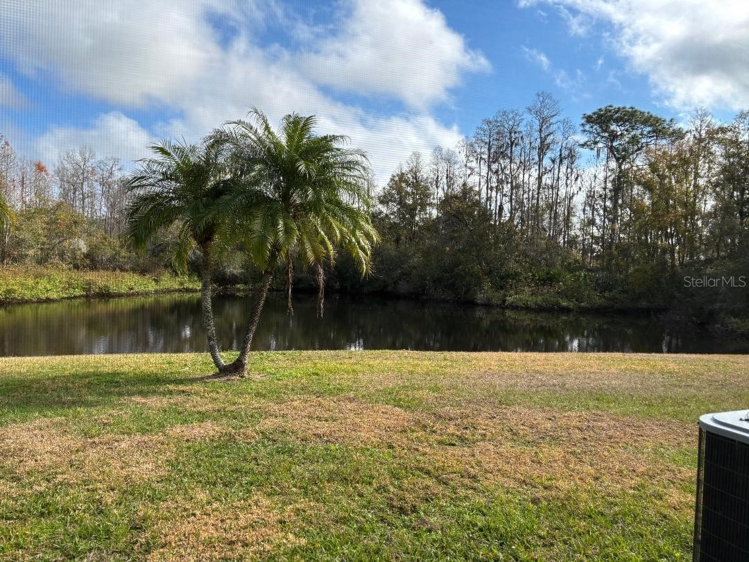 1932 Grenville Court Wesley Chapel FL 33543 TB8468139 image46