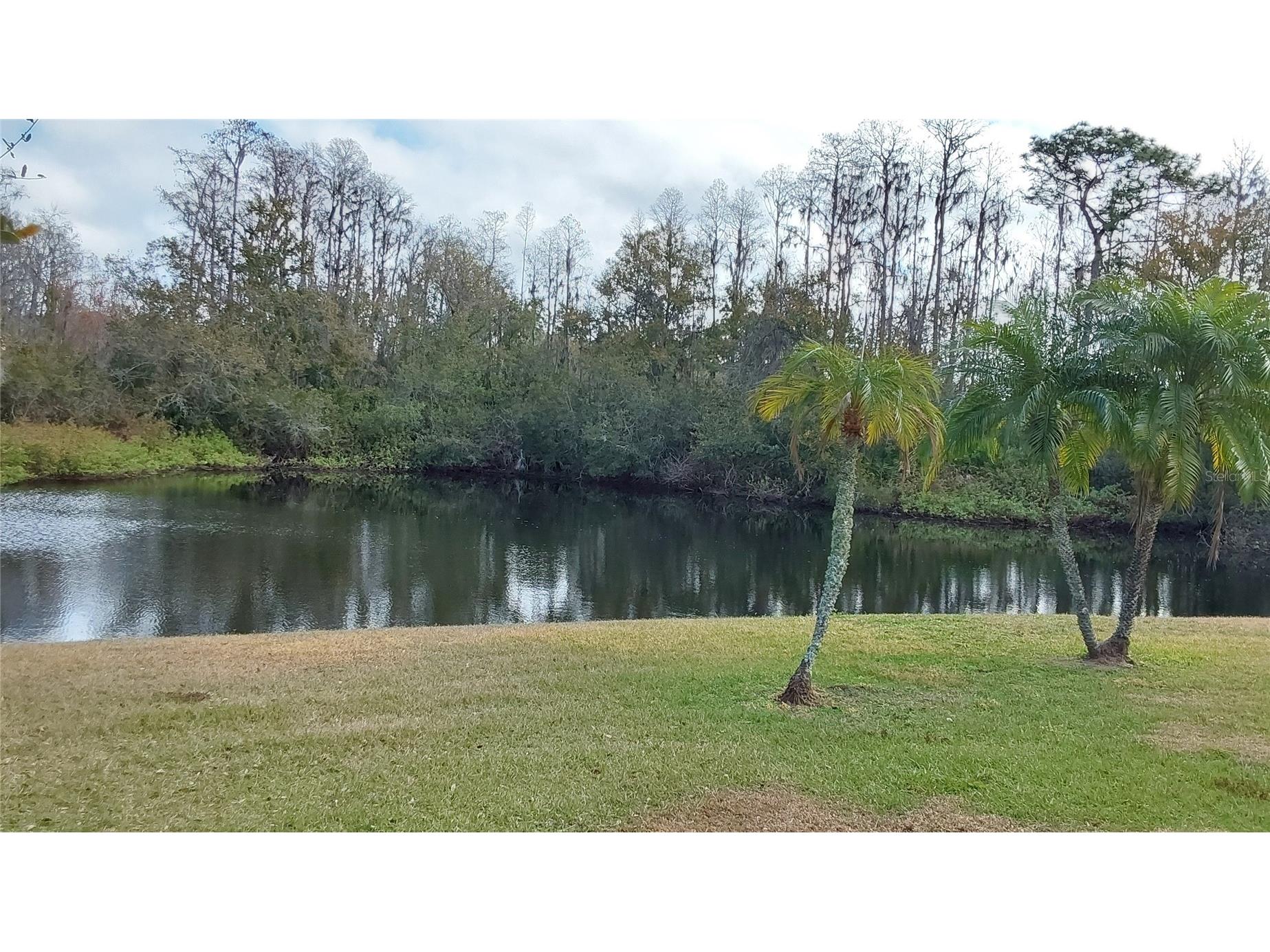 1932 Grenville Court Wesley Chapel FL 33543 TB8468139 image51