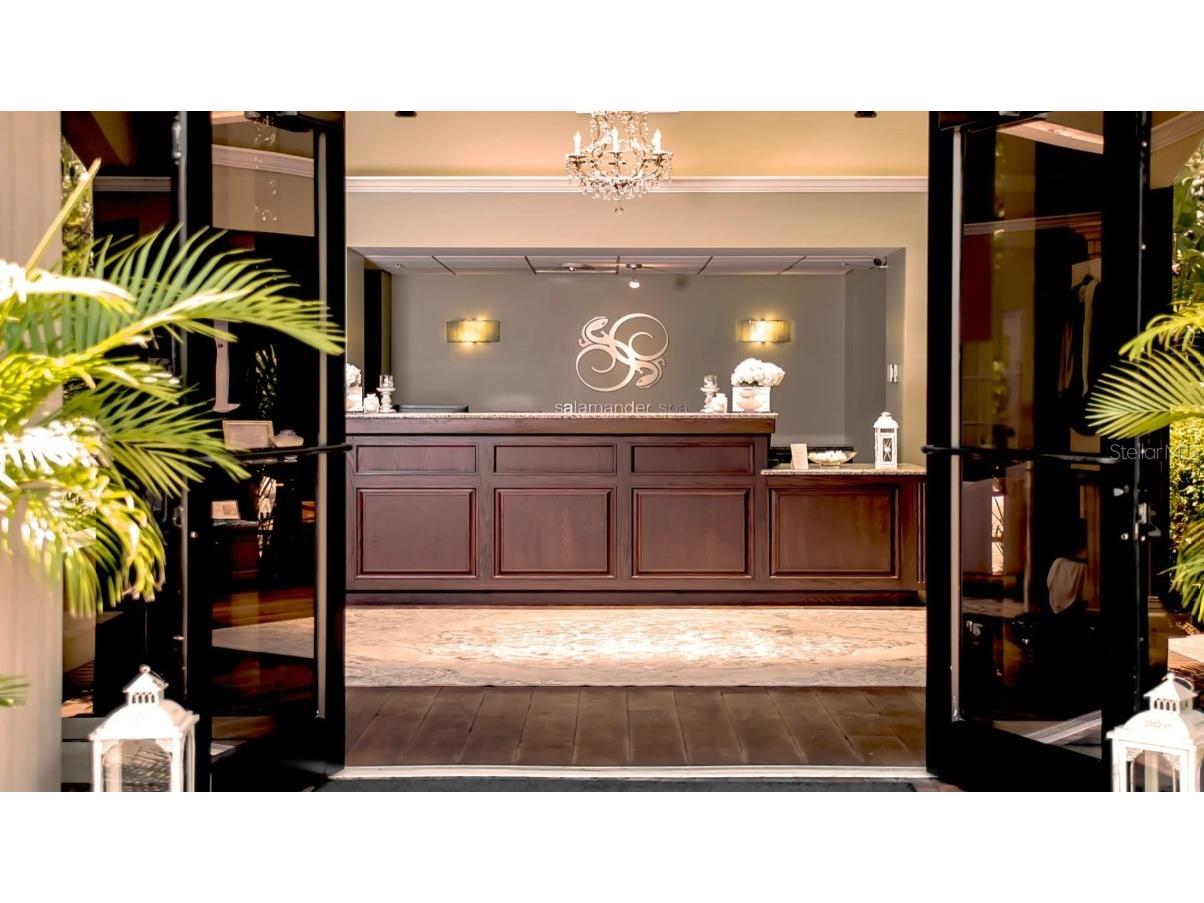 1932 Hillsong Terrace Palm Harbor FL 34684 A4675143 image10