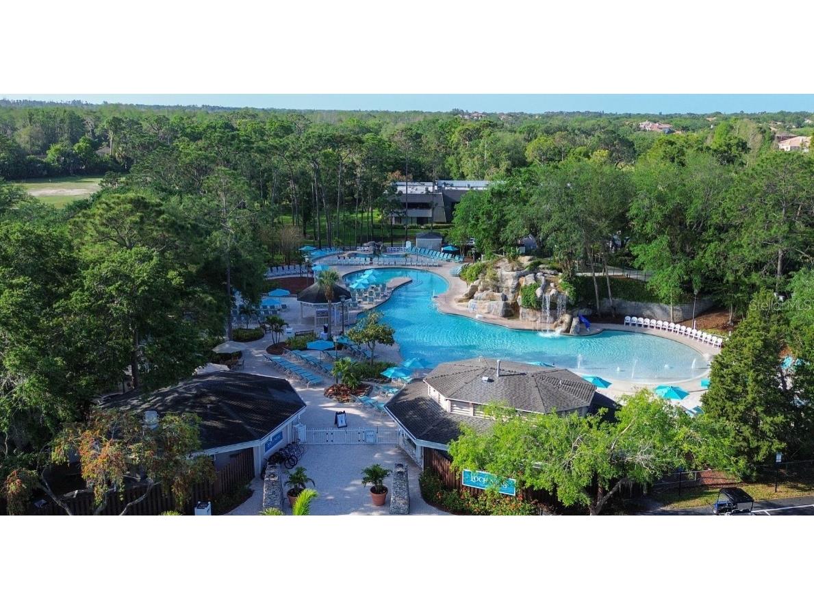 1932 Hillsong Terrace Palm Harbor FL 34684 A4675143 image8