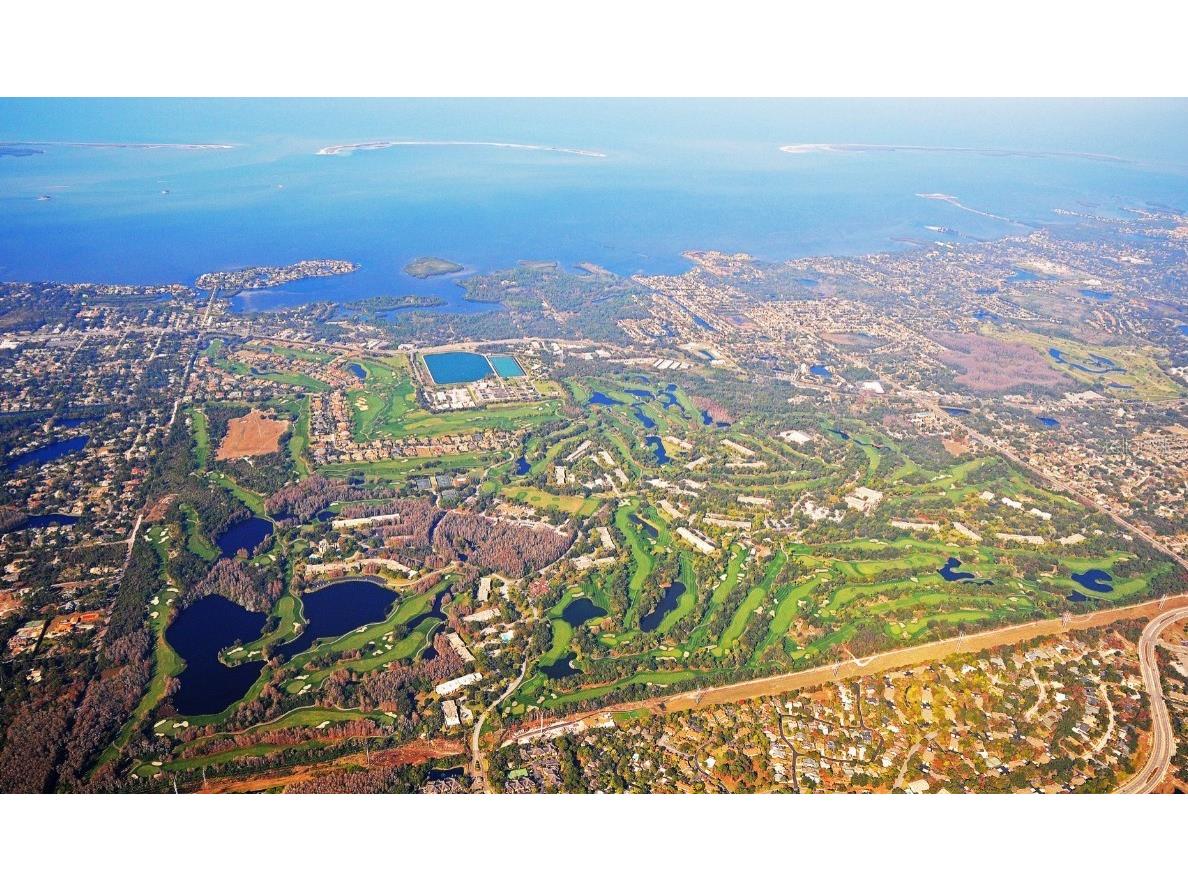 1932 Hillsong Terrace Palm Harbor FL 34684 A4675143 image9