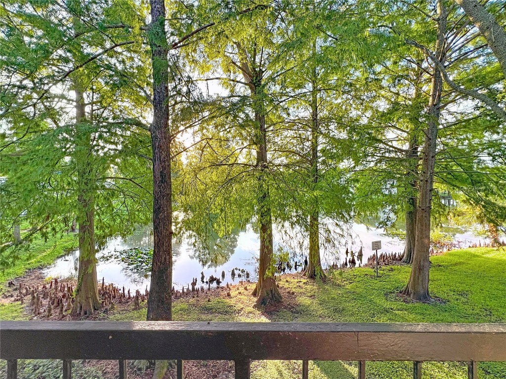 1932 Lake Atriums Cir #83 Orlando FL 32839 O6338693 image40