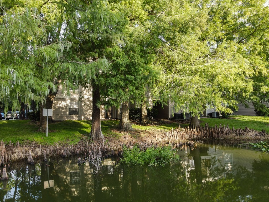 1932 Lake Atriums Cir #83 Orlando FL 32839 O6338693 image41