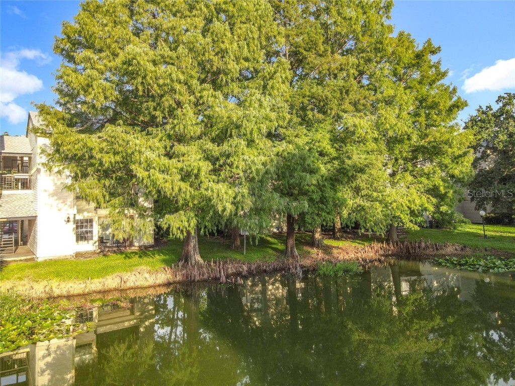 1932 Lake Atriums Cir #83 Orlando FL 32839 O6338693 image42