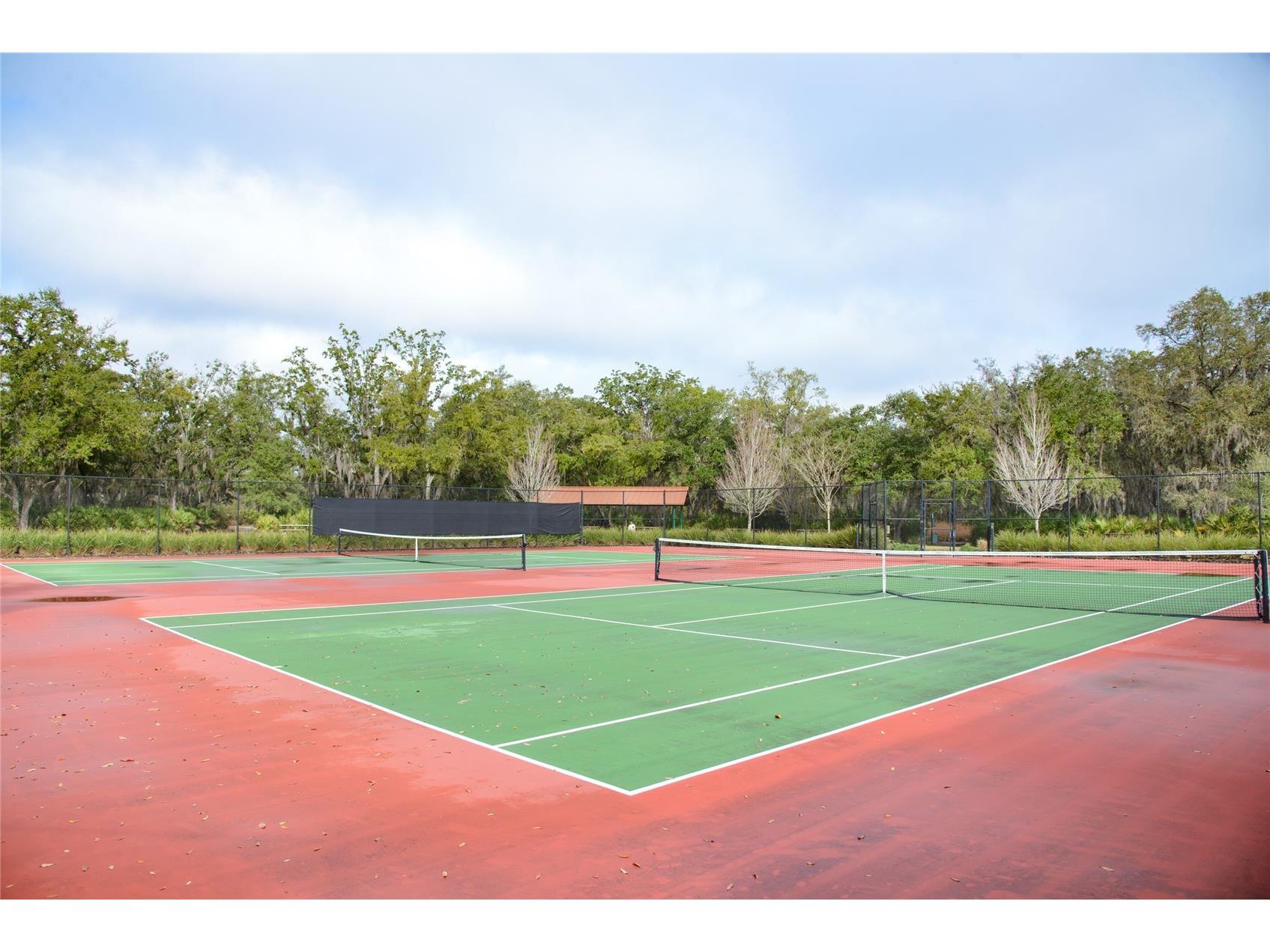 1932 Red Canyon Drive Kissimmee FL 34744 S5144928 image33