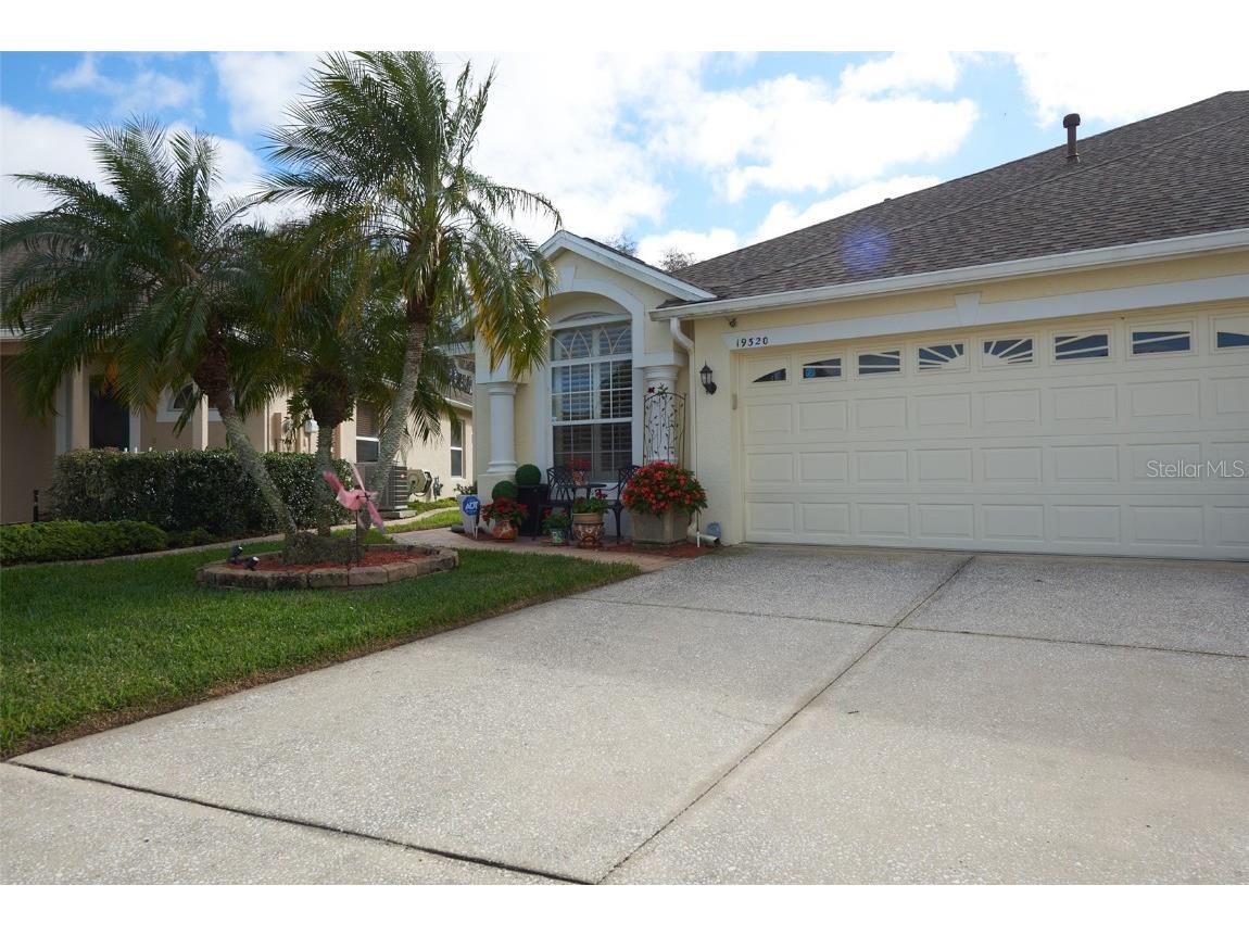 19320 Haskell Place Land O Lakes FL 34638 T3501604 image1