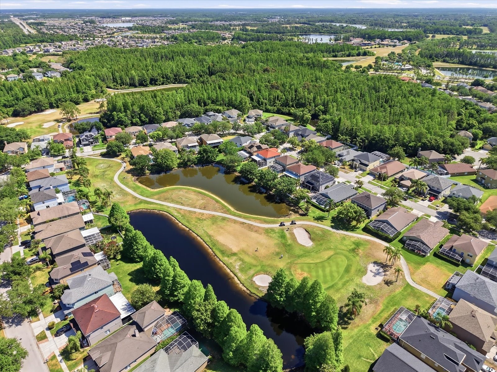19321 Sandy Springs Circle Lutz FL 33558 TB8504276 image25