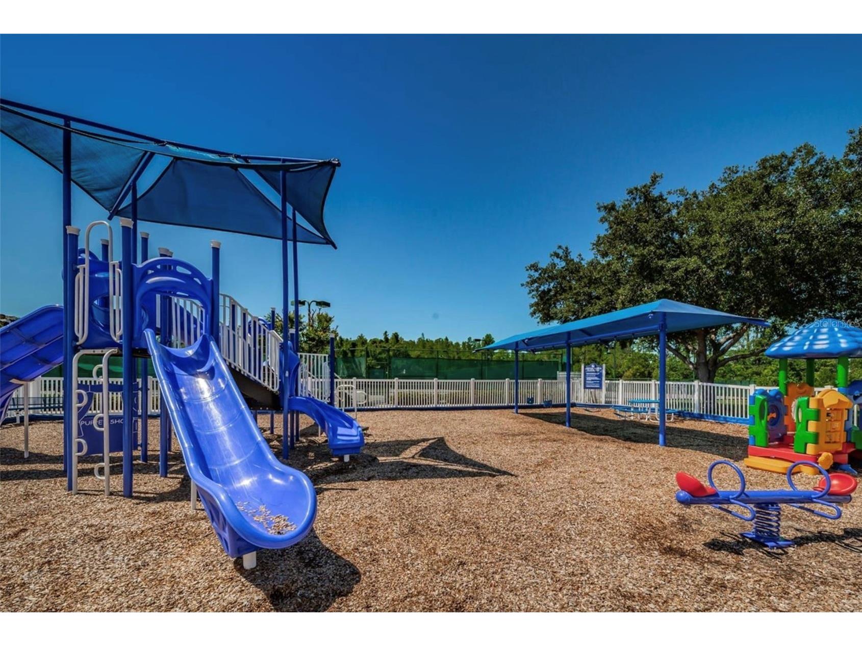 19321 Sandy Springs Circle Lutz FL 33558 TB8504276 image32