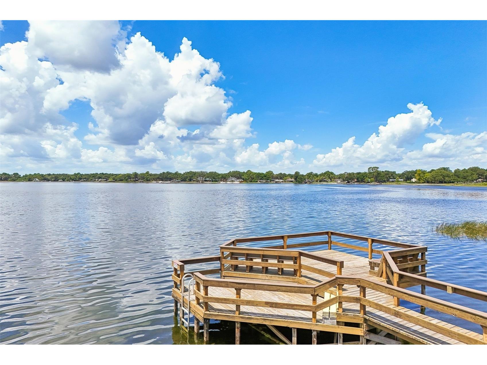 19323 Park Place Boulevard Eustis FL 32736 - LAKE JOANNA G5114723 image80