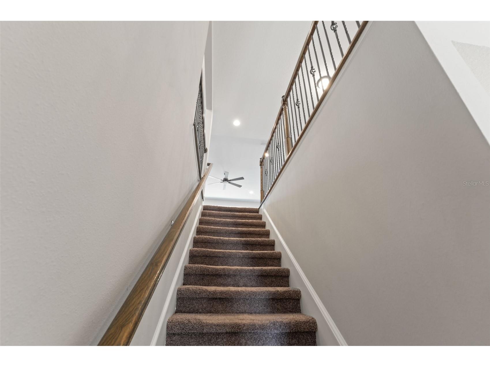 19324 E Eagle Creek Lane Lane Tampa FL 33647 TB8476357 image45