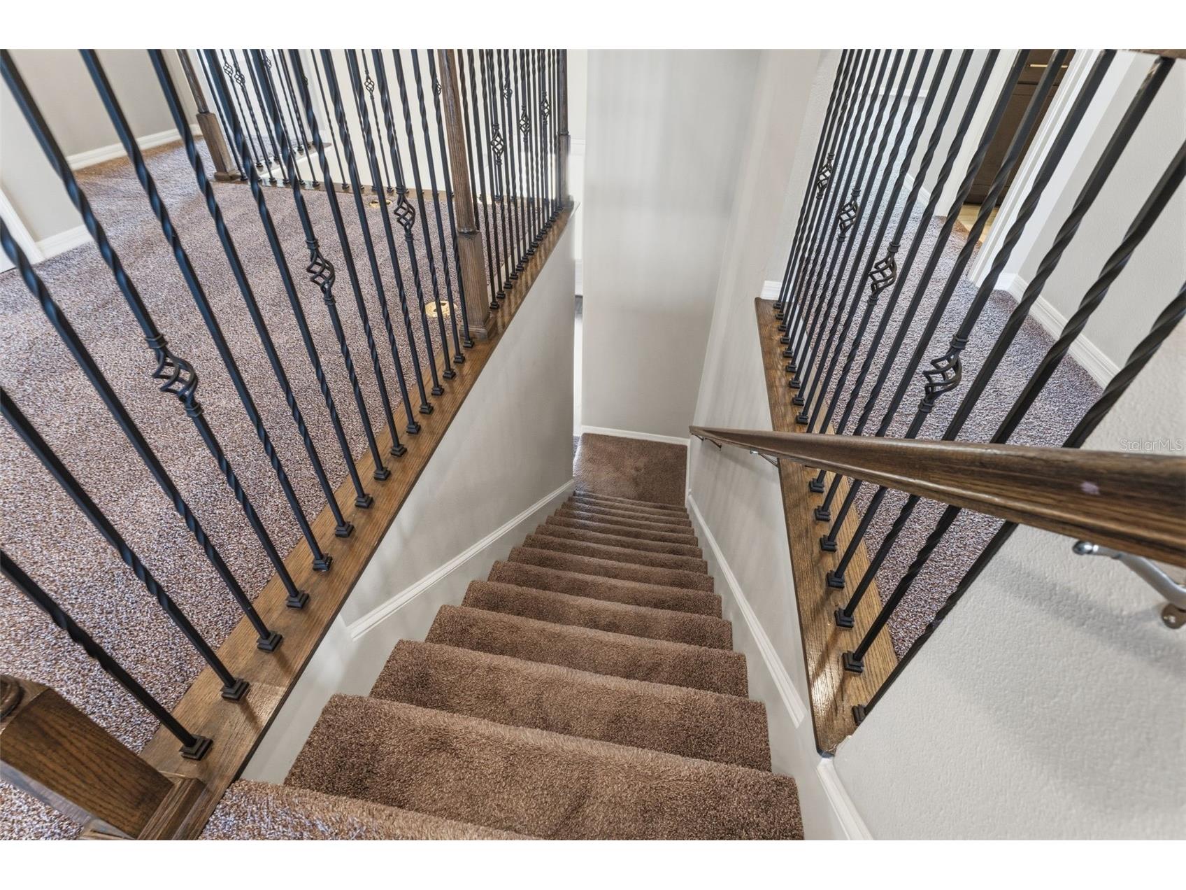 19324 E Eagle Creek Lane Lane Tampa FL 33647 TB8476357 image46