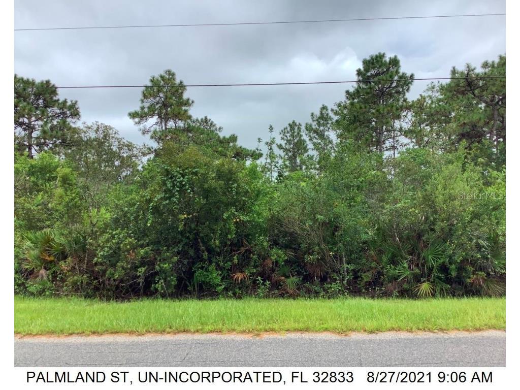 19324 Palmland Street Orlando FL 32833 J967227 image1