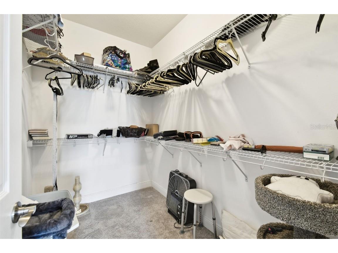 19325 Hawk Valley Drive Tampa FL 33647 TB8372722 image21