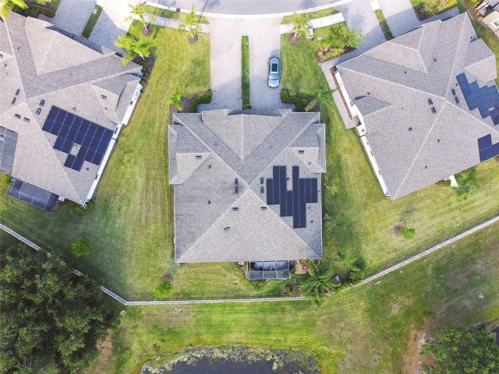 19325 Hawk Valley Drive Tampa FL 33647 TB8372722 image23