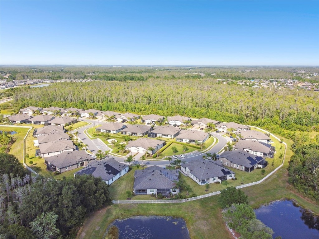 19325 Hawk Valley Drive Tampa FL 33647 TB8372722 image24