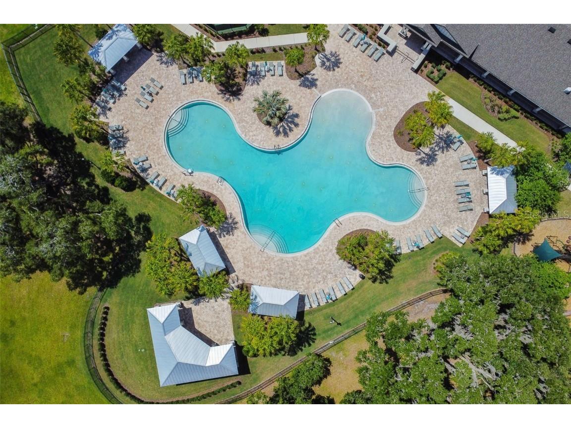 19325 Hawk Valley Drive Tampa FL 33647 TB8372722 image30