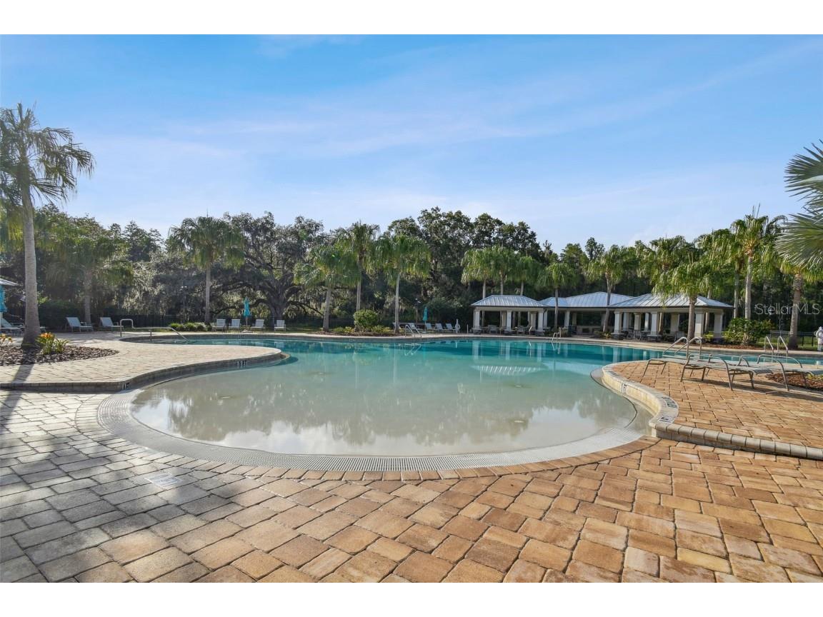 19325 Hawk Valley Drive Tampa FL 33647 TB8372722 image31