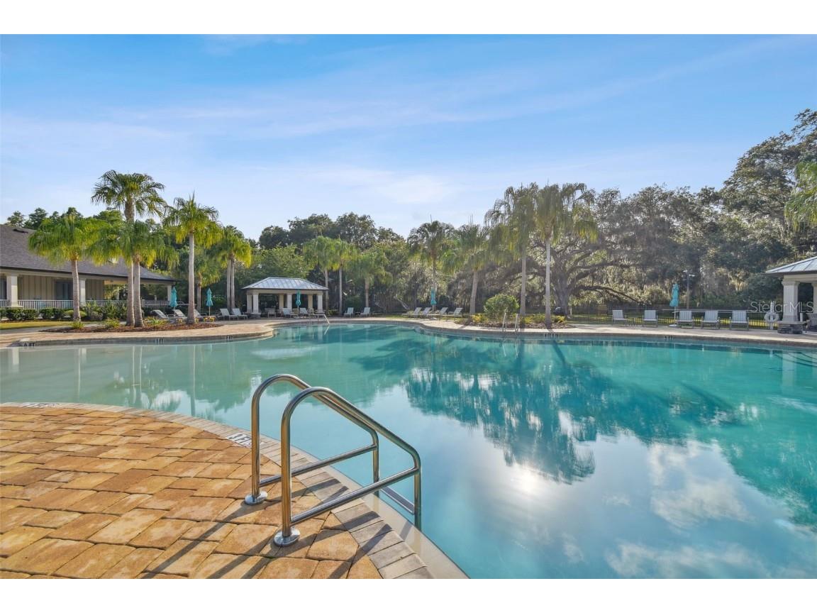 19325 Hawk Valley Drive Tampa FL 33647 TB8372722 image32