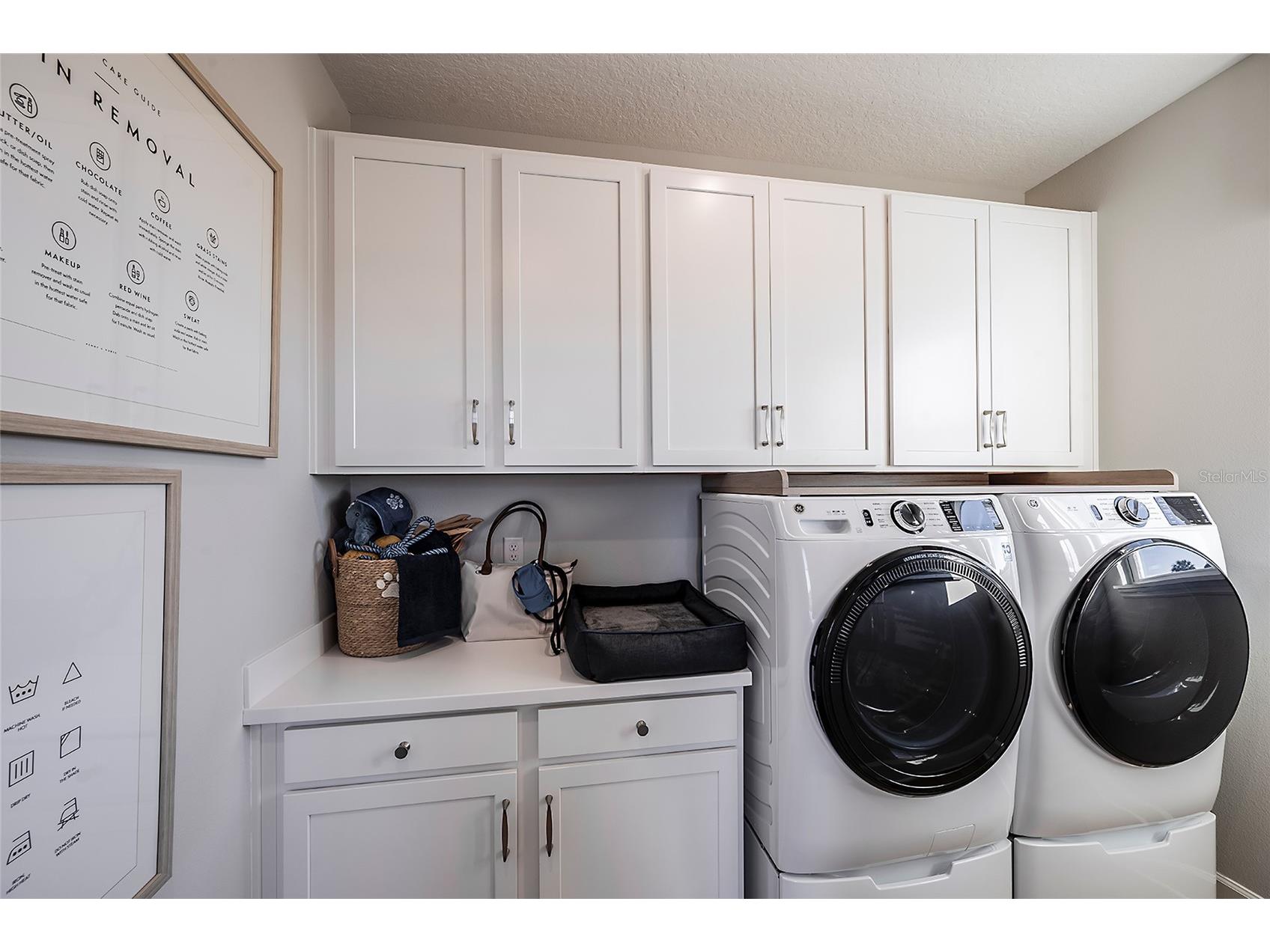 19326 Lochside Lane Mount Dora FL 32757 O6369406 image19