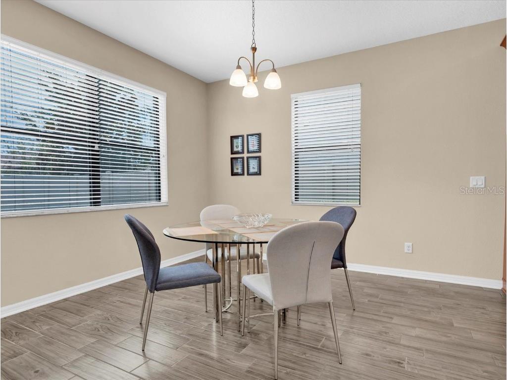 19326 Long Lake Ranch Boulevard Lutz FL 33558 W7876383 image11