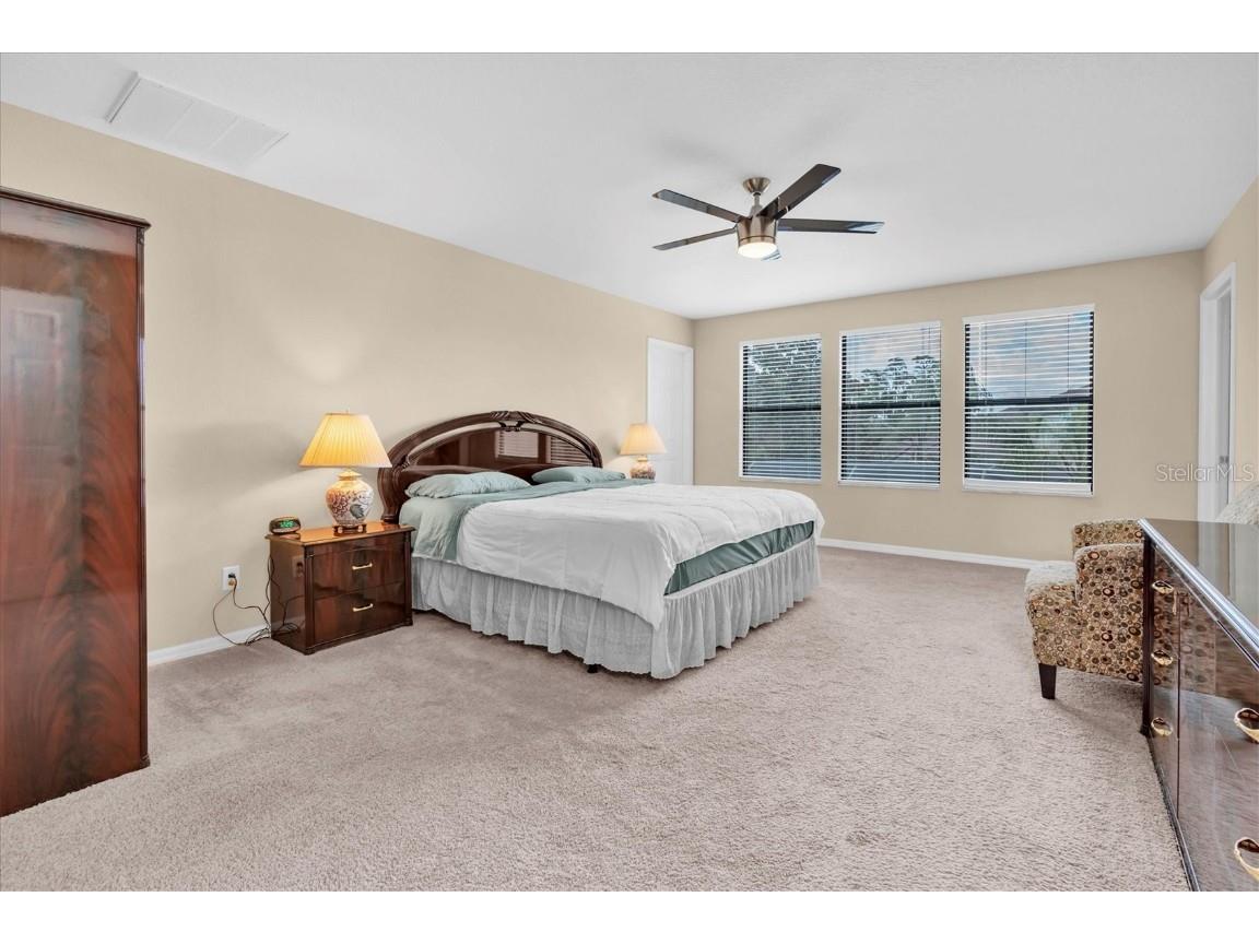 19326 Long Lake Ranch Boulevard Lutz FL 33558 W7876383 image20