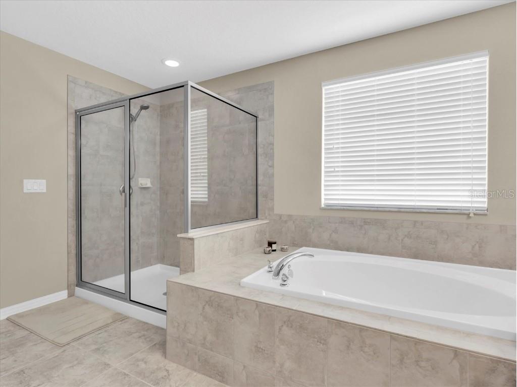 19326 Long Lake Ranch Boulevard Lutz FL 33558 W7876383 image24