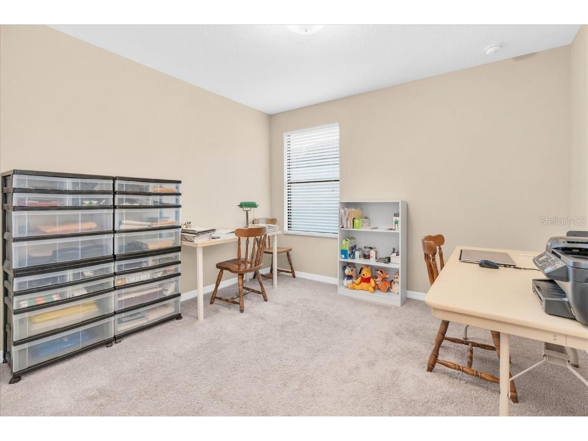 19326 Long Lake Ranch Boulevard Lutz FL 33558 W7876383 image26